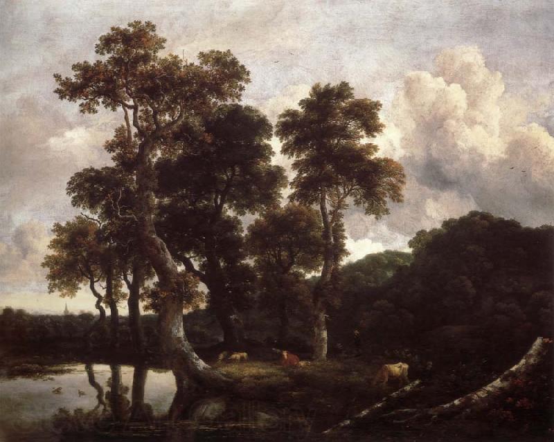 Jacob van Ruisdael Grove of Large Oak trees at the Edge of a pond Spain oil painting art